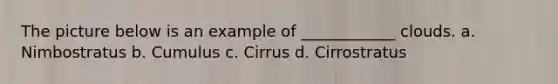 The picture below is an example of ____________ clouds. a. Nimbostratus b. Cumulus c. Cirrus d. Cirrostratus
