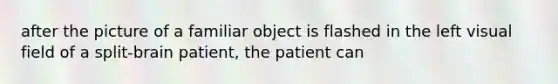 after the picture of a familiar object is flashed in the left visual field of a split-brain patient, the patient can