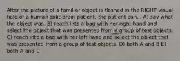 After the picture of a familiar object is flashed in the RIGHT visual field of a human split-brain patient, the patient can... A) say what the object was. B) reach into a bag with her right hand and select the object that was presented from a group of test objects. C) reach into a bag with her left hand and select the object that was presented from a group of test objects. D) both A and B E) both A and C