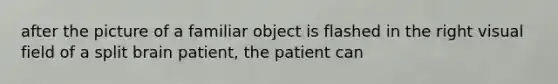 after the picture of a familiar object is flashed in the right visual field of a split brain patient, the patient can