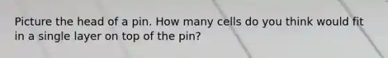 Picture the head of a pin. How many cells do you think would fit in a single layer on top of the pin?