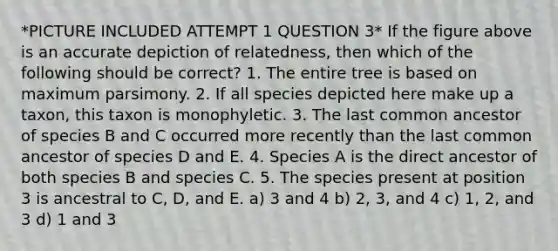 *PICTURE INCLUDED ATTEMPT 1 QUESTION 3* If the figure above is an accurate depiction of relatedness, then which of the following should be correct? 1. The entire tree is based on maximum parsimony. 2. If all species depicted here make up a taxon, this taxon is monophyletic. 3. The last common ancestor of species B and C occurred more recently than the last common ancestor of species D and E. 4. Species A is the direct ancestor of both species B and species C. 5. The species present at position 3 is ancestral to C, D, and E. a) 3 and 4 b) 2, 3, and 4 c) 1, 2, and 3 d) 1 and 3