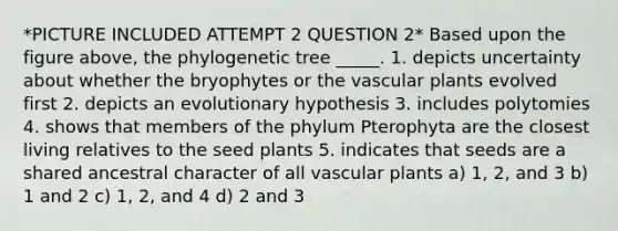 *PICTURE INCLUDED ATTEMPT 2 QUESTION 2* Based upon the figure above, the phylogenetic tree _____. 1. depicts uncertainty about whether the bryophytes or the vascular plants evolved first 2. depicts an evolutionary hypothesis 3. includes polytomies 4. shows that members of the phylum Pterophyta are the closest living relatives to the seed plants 5. indicates that seeds are a shared ancestral character of all vascular plants a) 1, 2, and 3 b) 1 and 2 c) 1, 2, and 4 d) 2 and 3