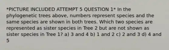 *PICTURE INCLUDED ATTEMPT 5 QUESTION 1* In the phylogenetic trees above, numbers represent species and the same species are shown in both trees. Which two species are represented as sister species in Tree 2 but are not shown as sister species in Tree 1? a) 3 and 4 b) 1 and 2 c) 2 and 3 d) 4 and 5