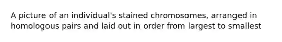 A picture of an individual's stained chromosomes, arranged in homologous pairs and laid out in order from largest to smallest