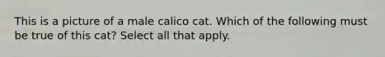 This is a picture of a male calico cat. Which of the following must be true of this cat? Select all that apply.