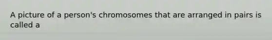 A picture of a person's chromosomes that are arranged in pairs is called a