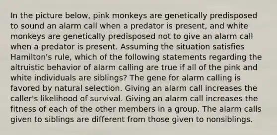 In the picture below, pink monkeys are genetically predisposed to sound an alarm call when a predator is present, and white monkeys are genetically predisposed not to give an alarm call when a predator is present. Assuming the situation satisfies Hamilton's rule, which of the following statements regarding the altruistic behavior of alarm calling are true if all of the pink and white individuals are siblings? The gene for alarm calling is favored by natural selection. Giving an alarm call increases the caller's likelihood of survival. Giving an alarm call increases the fitness of each of the other members in a group. The alarm calls given to siblings are different from those given to nonsiblings.