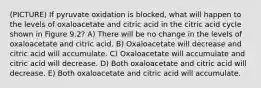 (PICTURE) If pyruvate oxidation is blocked, what will happen to the levels of oxaloacetate and citric acid in the citric acid cycle shown in Figure 9.2? A) There will be no change in the levels of oxaloacetate and citric acid. B) Oxaloacetate will decrease and citric acid will accumulate. C) Oxaloacetate will accumulate and citric acid will decrease. D) Both oxaloacetate and citric acid will decrease. E) Both oxaloacetate and citric acid will accumulate.