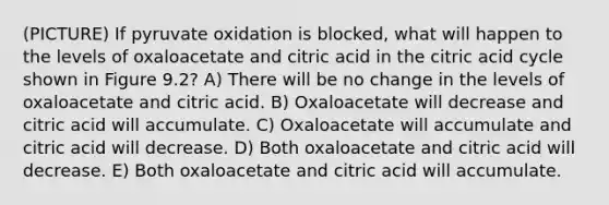 (PICTURE) If pyruvate oxidation is blocked, what will happen to the levels of oxaloacetate and citric acid in the citric acid cycle shown in Figure 9.2? A) There will be no change in the levels of oxaloacetate and citric acid. B) Oxaloacetate will decrease and citric acid will accumulate. C) Oxaloacetate will accumulate and citric acid will decrease. D) Both oxaloacetate and citric acid will decrease. E) Both oxaloacetate and citric acid will accumulate.