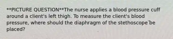 **PICTURE QUESTION**The nurse applies a blood pressure cuff around a client's left thigh. To measure the client's blood pressure, where should the diaphragm of the stethoscope be placed?