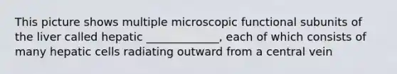 This picture shows multiple microscopic functional subunits of the liver called hepatic _____________, each of which consists of many hepatic cells radiating outward from a central vein