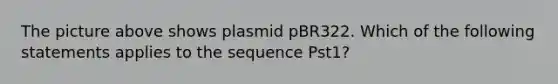 The picture above shows plasmid pBR322. Which of the following statements applies to the sequence Pst1?