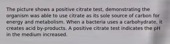 The picture shows a positive citrate test, demonstrating the organism was able to use citrate as its sole source of carbon for energy and metabolism. When a bacteria uses a carbohydrate, it creates acid by-products. A positive citrate test indicates the pH in the medium increased.