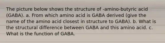 The picture below shows the structure of -amino-butyric acid (GABA). a. From which amino acid is GABA derived (give the name of the amino acid closest in structure to GABA). b. What is the structural difference between GABA and this amino acid. c. What is the function of GABA.