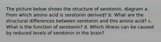 The picture below shows the structure of serotonin. diagram a. From which amino acid is serotonin derived? b. What are the structural differences between serotonin and this amino acid? c. What is the function of serotonin? d. Which illness can be caused by reduced levels of serotonin in the brain?