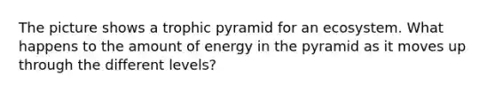 The picture shows a trophic pyramid for an ecosystem. What happens to the amount of energy in the pyramid as it moves up through the different levels?