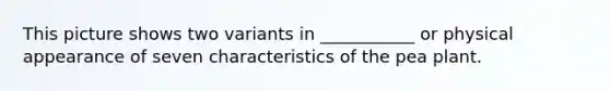 This picture shows two variants in ___________ or physical appearance of seven characteristics of the pea plant.