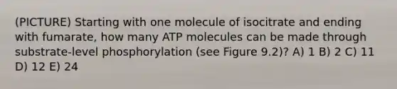 (PICTURE) Starting with one molecule of isocitrate and ending with fumarate, how many ATP molecules can be made through substrate-level phosphorylation (see Figure 9.2)? A) 1 B) 2 C) 11 D) 12 E) 24