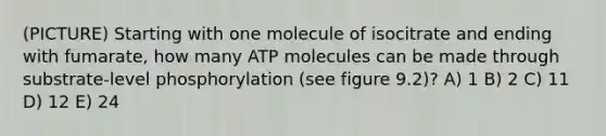 (PICTURE) Starting with one molecule of isocitrate and ending with fumarate, how many ATP molecules can be made through substrate-level phosphorylation (see figure 9.2)? A) 1 B) 2 C) 11 D) 12 E) 24