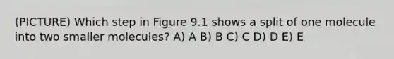 (PICTURE) Which step in Figure 9.1 shows a split of one molecule into two smaller molecules? A) A B) B C) C D) D E) E