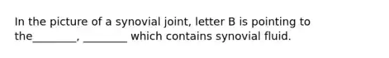 In the picture of a synovial joint, letter B is pointing to the________, ________ which contains synovial fluid.