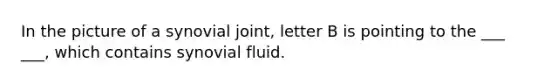 In the picture of a synovial joint, letter B is pointing to the ___ ___, which contains synovial fluid.