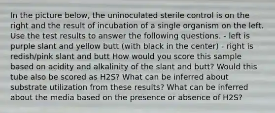 In the picture below, the uninoculated sterile control is on the right and the result of incubation of a single organism on the left. Use the test results to answer the following questions. - left is purple slant and yellow butt (with black in the center) - right is redish/pink slant and butt How would you score this sample based on acidity and alkalinity of the slant and butt? Would this tube also be scored as H2S? What can be inferred about substrate utilization from these results? What can be inferred about the media based on the presence or absence of H2S?