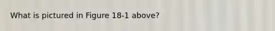 What is pictured in Figure 18-1 above?