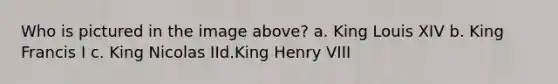 Who is pictured in the image above? a. King Louis XIV b. King Francis I c. King Nicolas IId.King Henry VIII