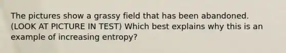 The pictures show a grassy field that has been abandoned. (LOOK AT PICTURE IN TEST) Which best explains why this is an example of increasing entropy?