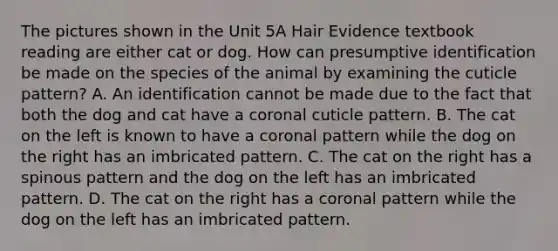 The pictures shown in the Unit 5A Hair Evidence textbook reading are either cat or dog. How can presumptive identification be made on the species of the animal by examining the cuticle pattern? A. An identification cannot be made due to the fact that both the dog and cat have a coronal cuticle pattern. B. The cat on the left is known to have a coronal pattern while the dog on the right has an imbricated pattern. C. The cat on the right has a spinous pattern and the dog on the left has an imbricated pattern. D. The cat on the right has a coronal pattern while the dog on the left has an imbricated pattern.