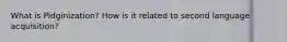 What is Pidginization? How is it related to second language acquisition?
