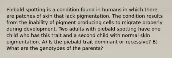 Piebald spotting is a condition found in humans in which there are patches of skin that lack pigmentation. The condition results from the inability of pigment producing cells to migrate properly during development. Two adults with piebald spotting have one child who has this trait and a second child with normal skin pigmentation. A) Is the piebald trait dominant or recessive? B) What are the genotypes of the parents?