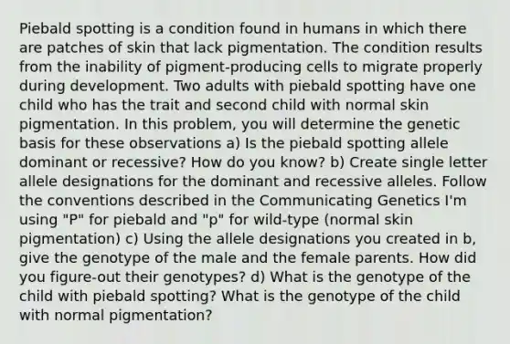 Piebald spotting is a condition found in humans in which there are patches of skin that lack pigmentation. The condition results from the inability of pigment-producing cells to migrate properly during development. Two adults with piebald spotting have one child who has the trait and second child with normal skin pigmentation. In this problem, you will determine the genetic basis for these observations a) Is the piebald spotting allele dominant or recessive? How do you know? b) Create single letter allele designations for the dominant and recessive alleles. Follow the conventions described in the Communicating Genetics I'm using "P" for piebald and "p" for wild-type (normal skin pigmentation) c) Using the allele designations you created in b, give the genotype of the male and the female parents. How did you figure-out their genotypes? d) What is the genotype of the child with piebald spotting? What is the genotype of the child with normal pigmentation?