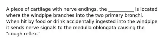 A piece of cartilage with nerve endings, the ___________ is located where the windpipe branches into the two primary bronchi. When hit by food or drink accidentally ingested into the windpipe it sends nerve signals to the medulla oblongata causing the "cough reflex."