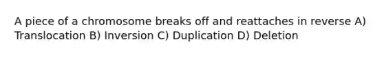 A piece of a chromosome breaks off and reattaches in reverse A) Translocation B) Inversion C) Duplication D) Deletion