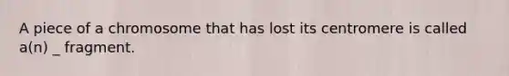 A piece of a chromosome that has lost its centromere is called a(n) _ fragment.