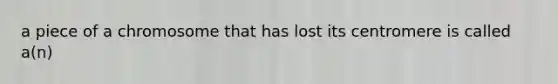 a piece of a chromosome that has lost its centromere is called a(n)