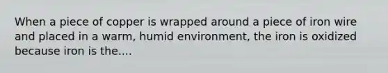 When a piece of copper is wrapped around a piece of iron wire and placed in a warm, humid environment, the iron is oxidized because iron is the....