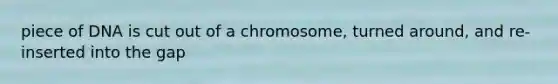 piece of DNA is cut out of a chromosome, turned around, and re-inserted into the gap