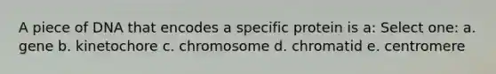 A piece of DNA that encodes a specific protein is a: Select one: a. gene b. kinetochore c. chromosome d. chromatid e. centromere