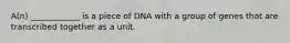 A(n) ____________ is a piece of DNA with a group of genes that are transcribed together as a unit.