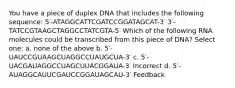 You have a piece of duplex DNA that includes the following sequence: 5′-ATAGGCATTCGATCCGGATAGCAT-3′ 3′-TATCCGTAAGCTAGGCCTATCGTA-5′ Which of the following RNA molecules could be transcribed from this piece of DNA? Select one: a. none of the above b. 5′-UAUCCGUAAGCUAGGCCUAUGCUA-3′ c. 5′-UACGAUAGGCCUAGCUUACGGAUA-3′ Incorrect d. 5′-AUAGGCAUUCGAUCCGGAUAGCAU-3′ Feedback