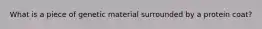 What is a piece of genetic material surrounded by a protein coat?