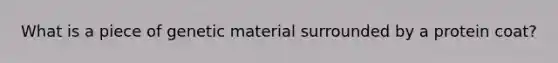 What is a piece of genetic material surrounded by a protein coat?