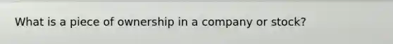 What is a piece of ownership in a company or stock?