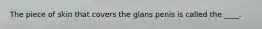 The piece of skin that covers the glans penis is called the ____.