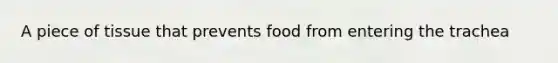 A piece of tissue that prevents food from entering the trachea