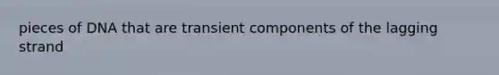 pieces of DNA that are transient components of the lagging strand